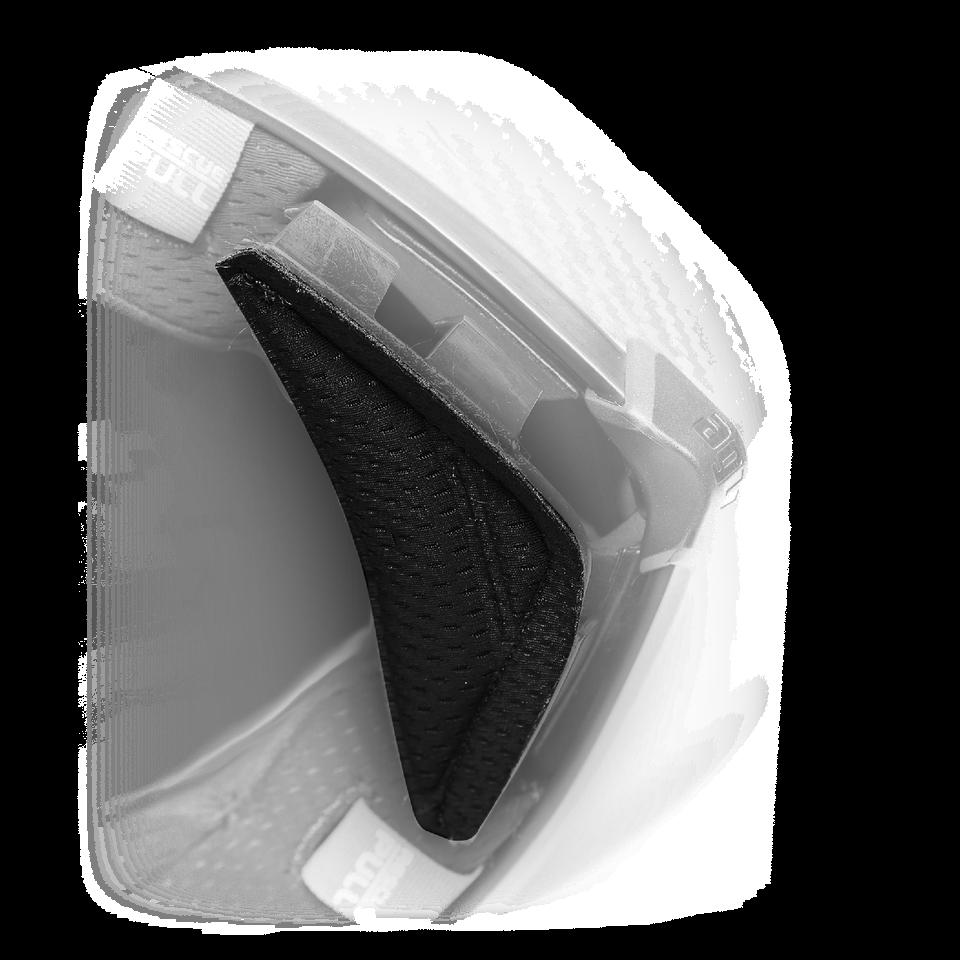 wind protector pista gp rr black